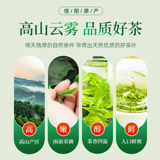 信阳绿茶毛尖茶叶高山云雾茶浓香型茶叶 自饮装 CM 商品图1