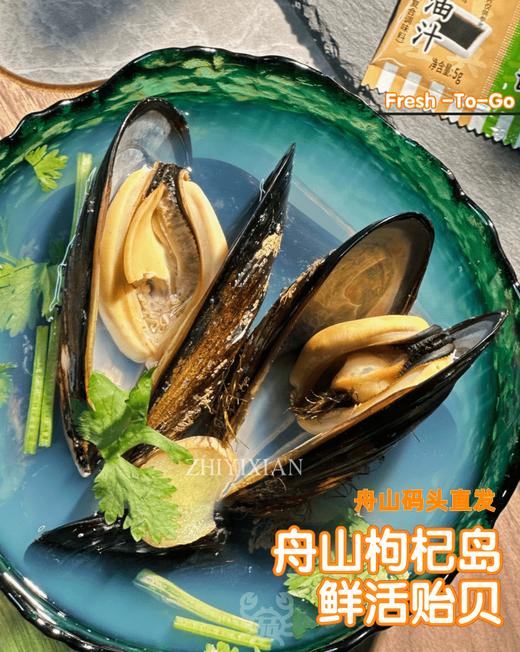 【顺丰包邮】【包鲜不包活】舟山枸杞岛野生贻贝 包鲜不包活 特有品种野生捕捞 素有海洋鸡蛋的美誉 顺丰基地直邮 商品图2