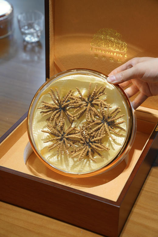 干虫草礼盒 定制 商品图2