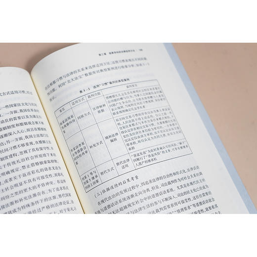 结果导向的司法决策研究 王彬著 法律出版社 商品图3