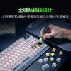 Razer雷蛇幻影白 巴塞利斯蛇V3 Pro专业版35K+黑寡妇蜘蛛V4 75%+梭鱼X幻彩+烈焰神虫V2+骑仕V3【雷蛇官方直营，延保一年】 商品缩略图8