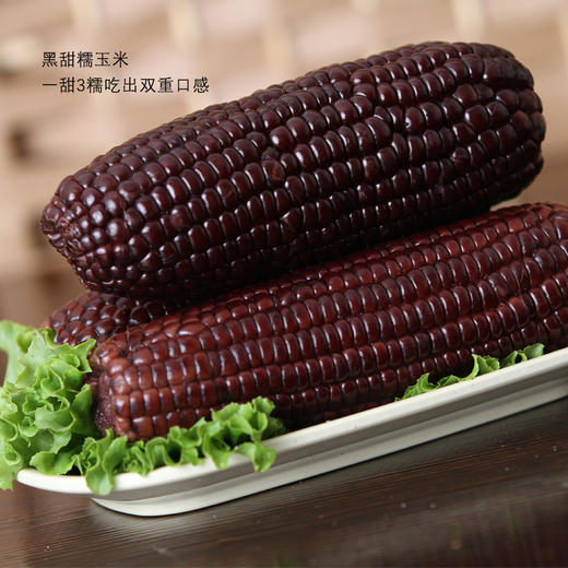 25年头茬玉米！有机黑糯玉米米 原生态有机种植甜糯玉米220g大穗 满口花青素 3小时锁住新鲜 真空包装 商品图2