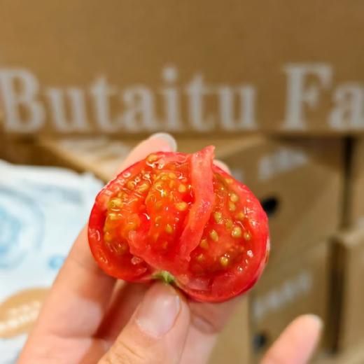 钱袋番茄（一箱3.5斤） 商品图3