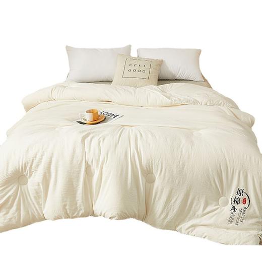 蒙卡罗尼 原棉大豆被200*230cm MKLNYMDDB 商品图0