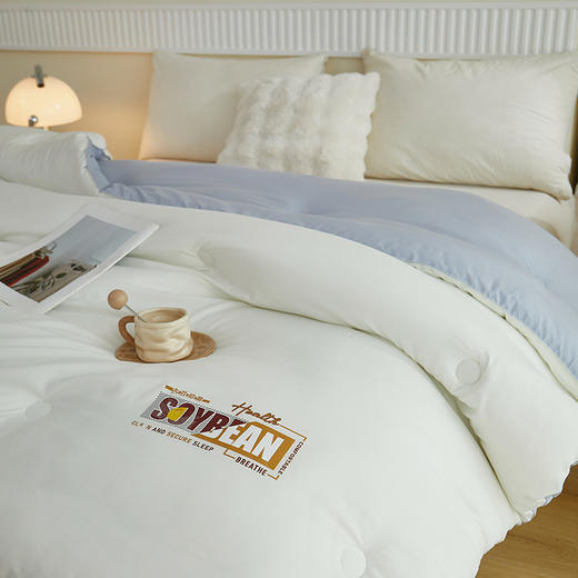 彼加曼 无印云感棉大豆被200*230cm BGM-B2556 商品图2