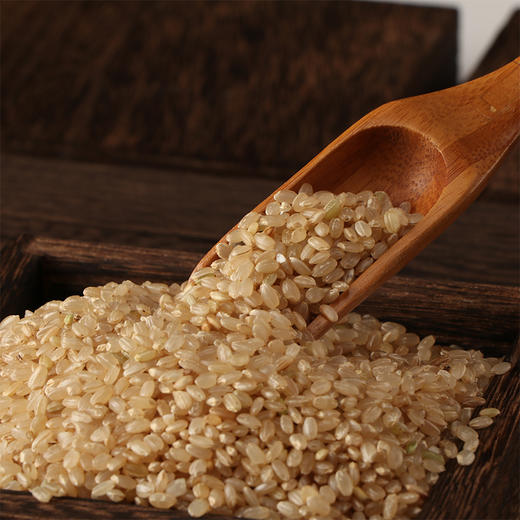 【产地直发包邮】正耕—有机糙米 商品图2