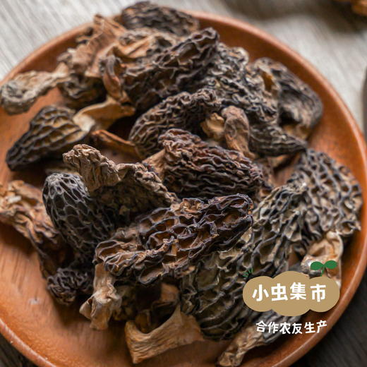 高原野生羊肚菌 50g/罐 | 合作农友生产，产自四川甘孜雪山高原，生产者：李建程 &【公平贸易农人定价】 商品图8