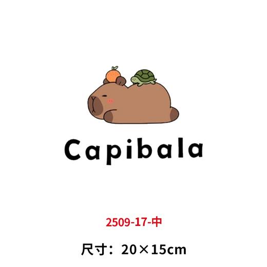 卡通动物卡皮巴拉烫画印花贴装饰儿童服装DIY热转印衣服熨斗烫画 商品图0