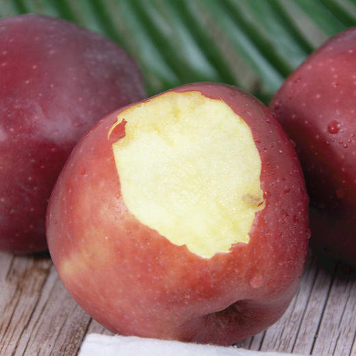 【天水花牛苹果】产自中国花牛苹果的核心产区之一-甘肃天水，粉面香甜，宝宝辅食优选，老少皆宜 商品图2