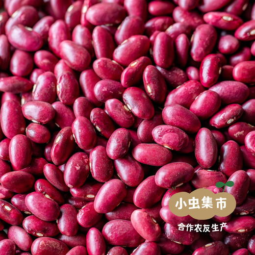 云南生态老品种红豆（花生豆）500g | 合作农友生产，产自云南富民，生产者：张志富 &【公平贸易农人定价】 商品图1