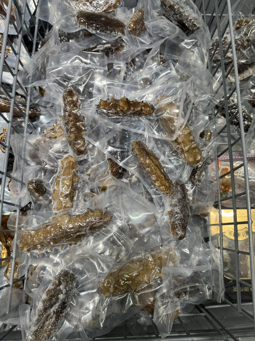 鲜食海参一级1根（水发） 商品图1