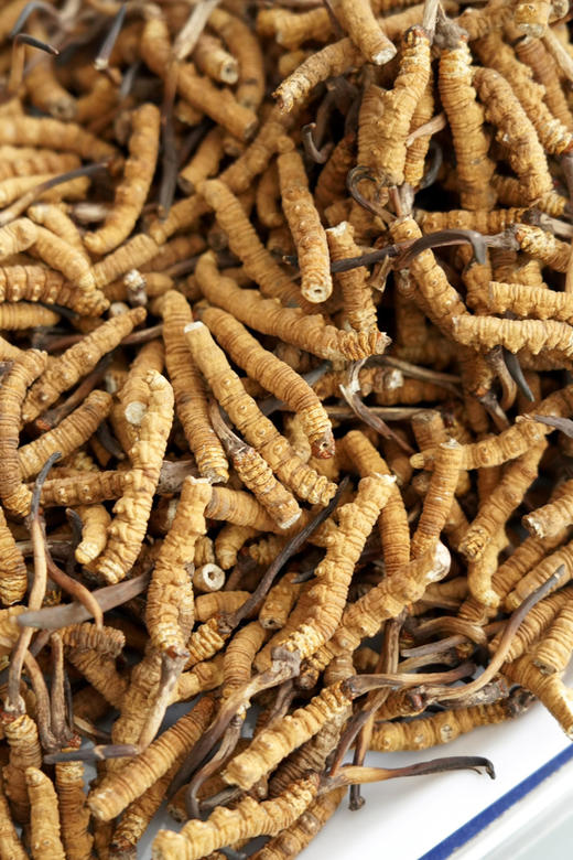 断草王 商品图1