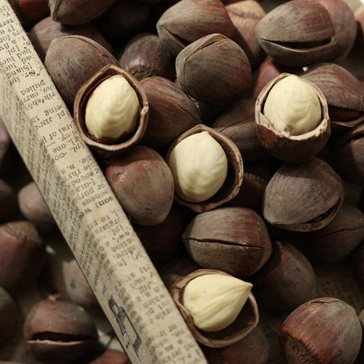 🌰东北 · 长白山 · 开口松子/榛子 商品图5