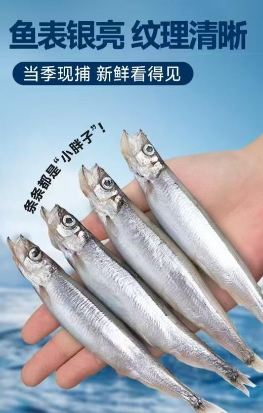 【加拿大多春鱼】 5斤装/箱  顺丰包邮 商品图7