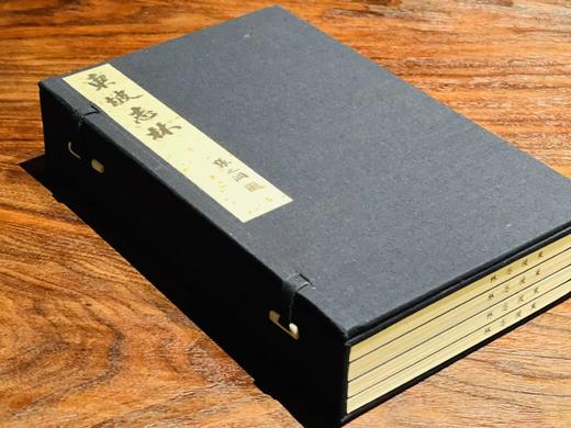 明万历本《东坡志林》 商品图1