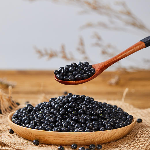 【产地直发包邮】正耕—有机黑豆 商品图2