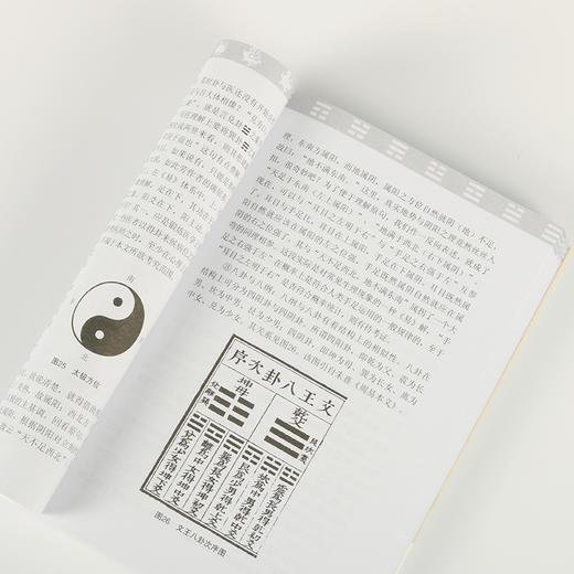 潘毅丨 《寻回中医失落的元神》套装 商品图3