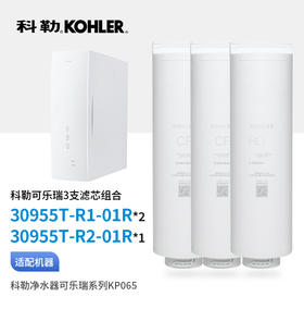 科勒（KOHLER）可乐瑞KP065净水器两年三支滤芯组合（高端款）