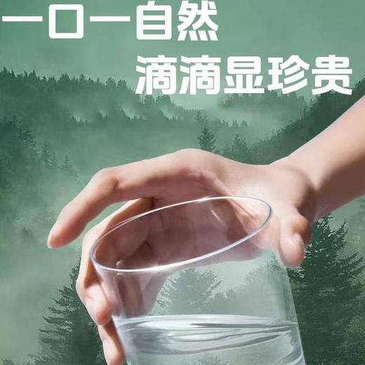 白桦小镇(羊城食品) 白桦树汁320ml/瓶 商品图4