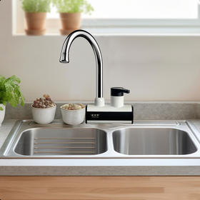 HK21 鱼米来电热水龙头