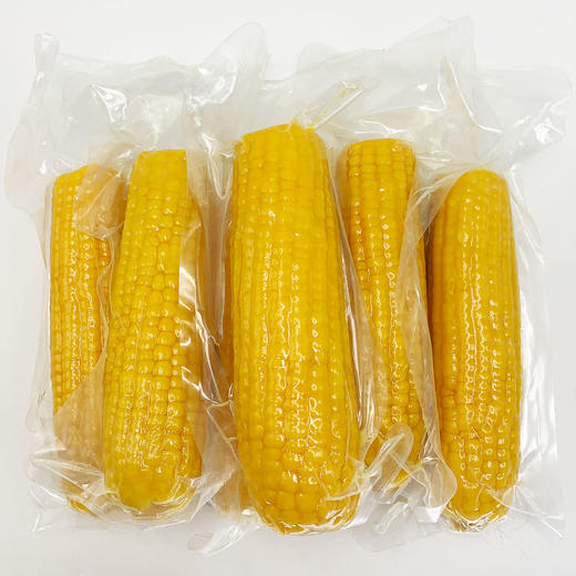 【福小品】海伦市 玉米 10穗 东北甜糯玉米  非转基因黄玉米 真空包装 礼箱 商品图1