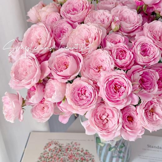 多头玫瑰 | 红仙子之吻 商品图0