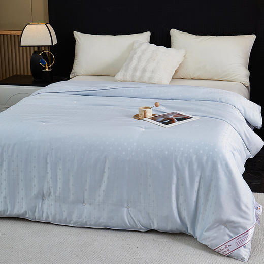 彼加曼 维罗纳银丝提花蚕丝被200*230cm BGM-B2561 商品图1