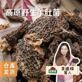 高原野生羊肚菌 50g/罐 | 合作农友生产，产自四川甘孜雪山高原，生产者：李建程 &【公平贸易农人定价】