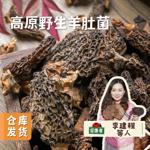 高原野生羊肚菌 50g/罐 | 合作农友生产，产自四川甘孜雪山高原，生产者：李建程 &【公平贸易农人定价】 商品图0