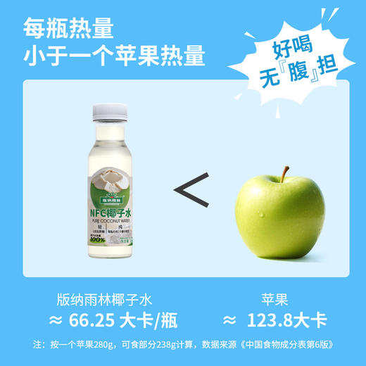 版纳雨林椰子水280ml*6 商品图4