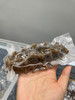 大连纯淡干海参鲜食海参1根（水发） 商品缩略图1