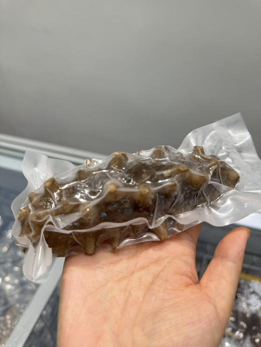 大连纯淡干海参鲜食海参1根（水发） 商品图1