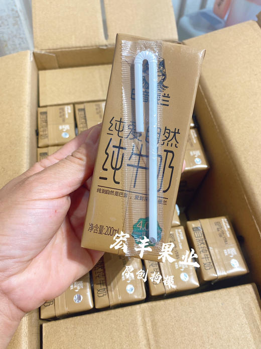 宏丰精选 巴音楼兰零添加纯牛奶 特别香醇 商品图3