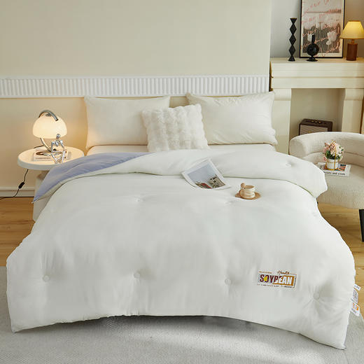 彼加曼 无印云感棉大豆被200*230cm BGM-B2555 商品图2