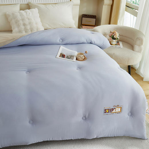 彼加曼 无印云感棉大豆被200*230cm BGM-B2553 商品图4