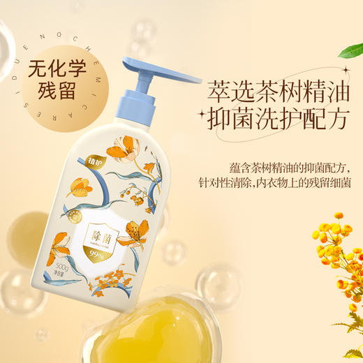 植护 纯欲晚香内衣洗衣液500g*3瓶 zhw50g3p 商品图2