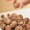 🌰东北 · 长白山 · 开口松子/榛子 商品缩略图4