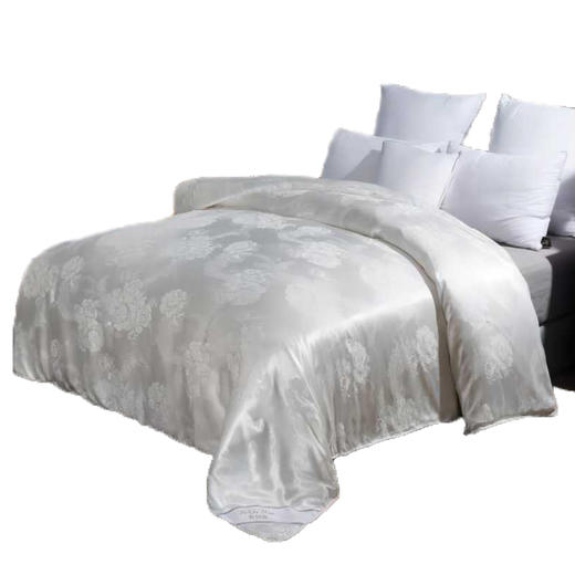 彼加曼 御品提花蚕丝被200*230cm BGM-B1025 商品图0