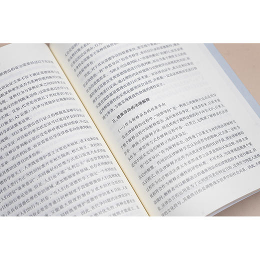 结果导向的司法决策研究 王彬著 法律出版社 商品图4