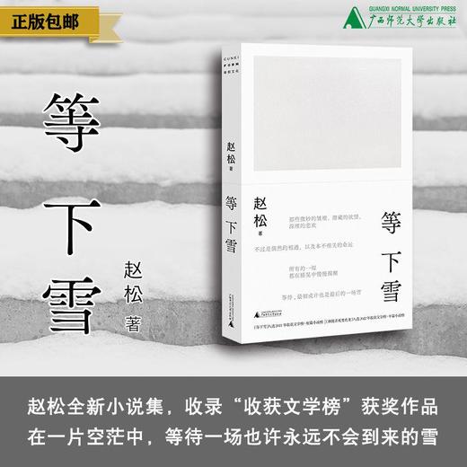 等下雪 赵松/著 赵松、收获文学榜、抚顺故事集、你们去荒野、积木书、广西师范大学出版社 商品图0