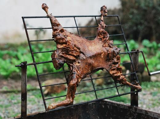 【双十二特惠·4折购】¥2699送烤全羊+羊杂汤锅！住独栋临湖5房/6房私汤小院，活羊现杀I户外篝火I免费垂钓露I营天幕！ 雅安463号院XXH 商品图11