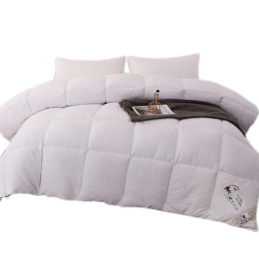 啄木鸟(PLOVER) 抗菌美肤被 ZMN-DB002 商品图0