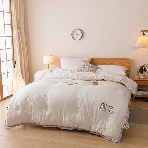 PLOVER啄木鸟 泡泡纱豆豆被200*230cm/2.9KG ZMN-DB006 商品图4