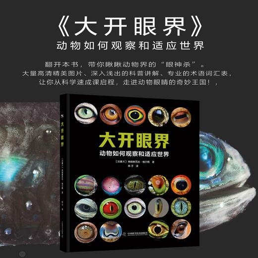大开眼界 踏上一场探索生命视觉奇迹的精彩旅程，揭示生物眼睛令人叹为观止的多样性与适应性 商品图0
