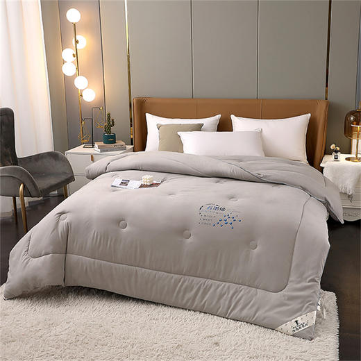 PLOVER啄木鸟 石墨烯能量被200*230cm/2.9KG ZMN-DB003 商品图4