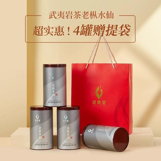 武夷星 老枞水仙 武夷岩茶 罐装 105g 商品图6