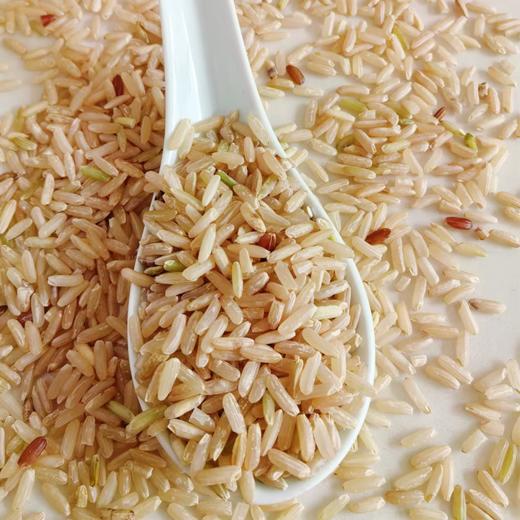 生态胚芽米 5斤装包邮   自然传统农耕 商品图8