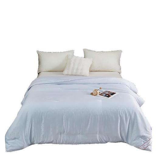 彼加曼 维罗纳银丝提花蚕丝被200*230cm BGM-B2561 商品图0