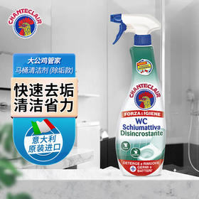 大公鸡管家马桶清洁剂(除垢) 625ml（新老包装随机发货哦~）