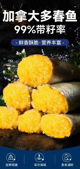 【加拿大多春鱼】 5斤装/箱  顺丰包邮